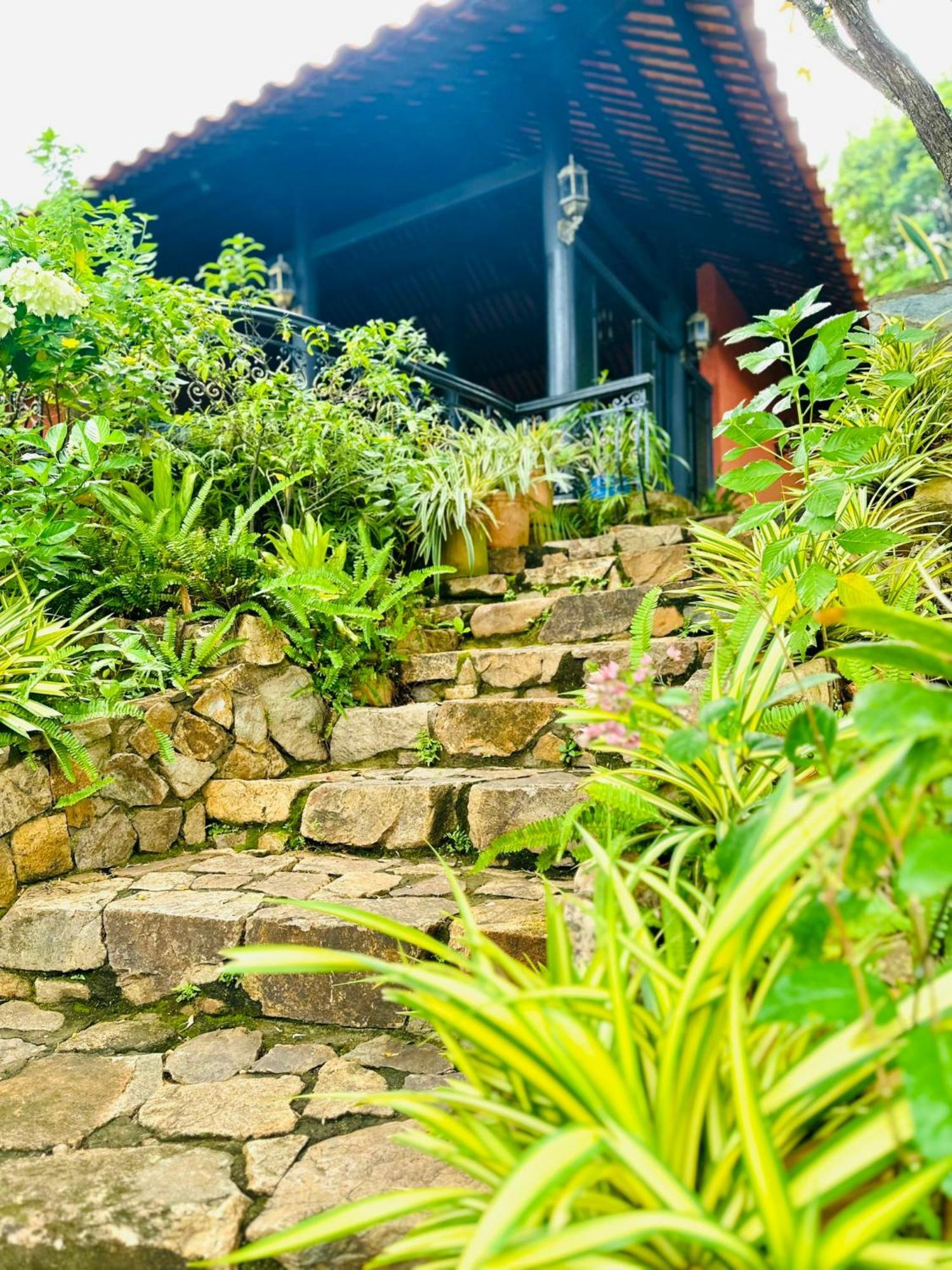 Binh An Village Vung Tau Luaran gambar