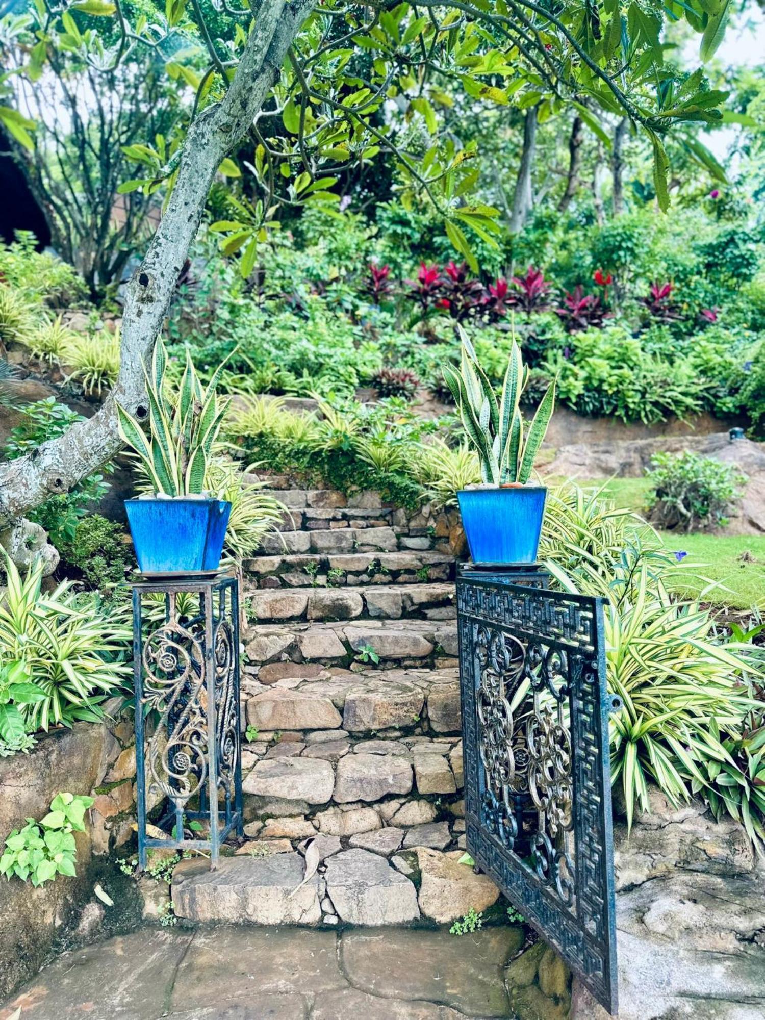 Binh An Village Vung Tau Luaran gambar