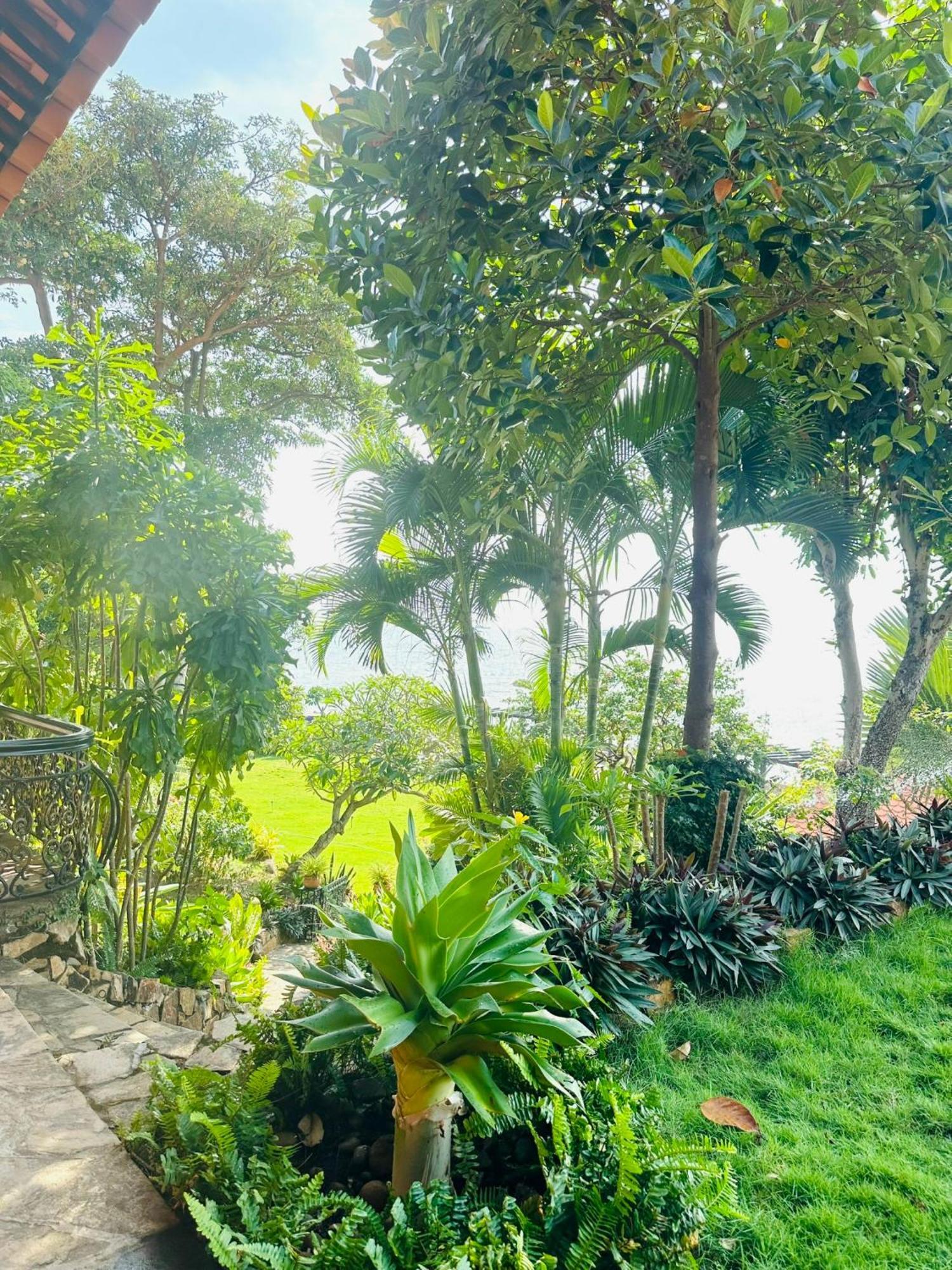Binh An Village Vung Tau Luaran gambar